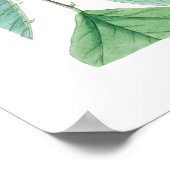 Erythrina x bidwillii "Camdeni" Poster (Hoek)