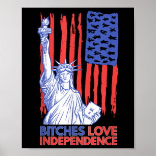 ES Love Independence 4 juli Grappige Amerikaanse v Poster