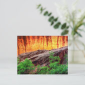 Escalante Neon Canyon en Foliage | Utah Briefkaart (Staand voorkant)