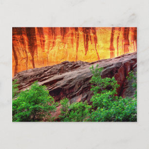 Escalante Neon Canyon en Foliage   Utah Briefkaart