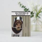 Escape uit Allycatraz Briefkaart (Staand voorkant)