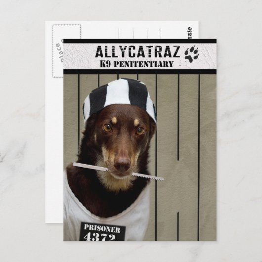 Escape uit Allycatraz Briefkaart (Voorkant / Achterkant)