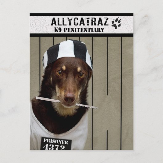 Escape uit Allycatraz Briefkaart (Voorkant)