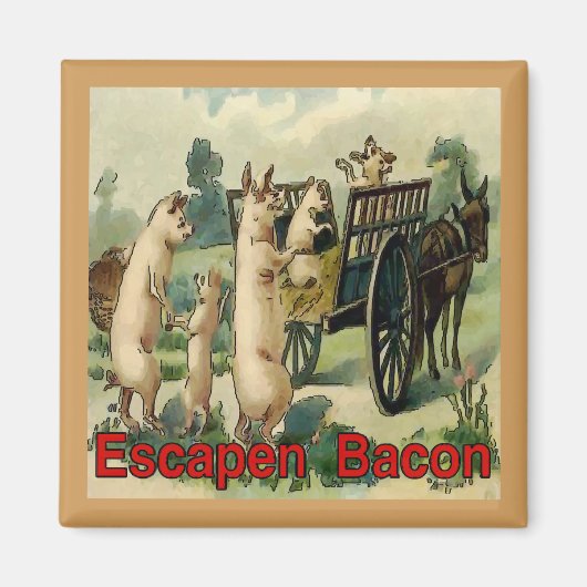 Escaping Bacon, Hogs Magneet (Voorkant)