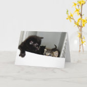 Escaping Kittens Wenskaart Kaart (Gele Bloem)