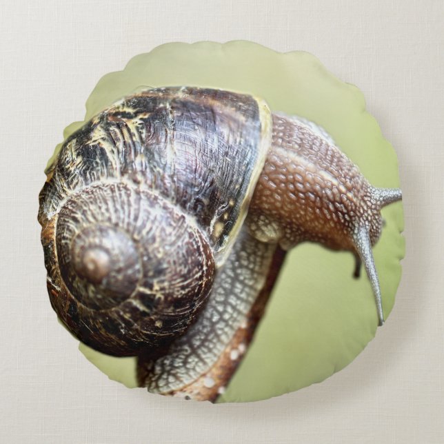 Escargot - Het rijke plezier Rond Kussen (Voorkant)