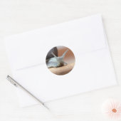 Escargot Ronde Sticker (Envelop)