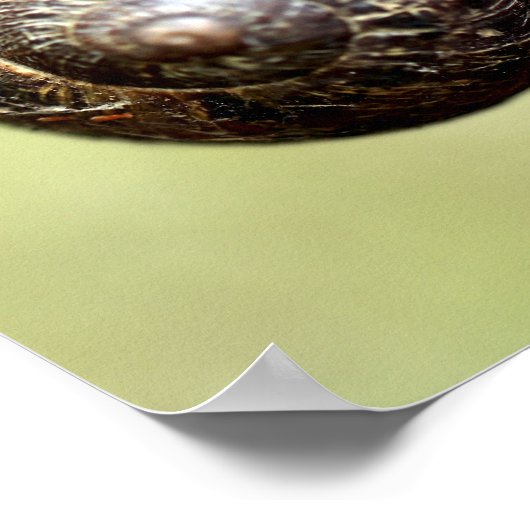 Escargots - de rijke schittering poster (Hoek)