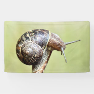Escargots - de rijke schittering spandoek