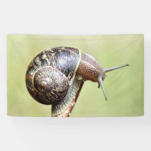 Escargots - de rijke schittering spandoek (Horizontaal)