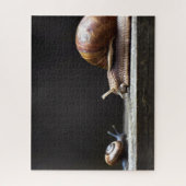 Escargots - slak Mollusk Legpuzzel (Verticaal)