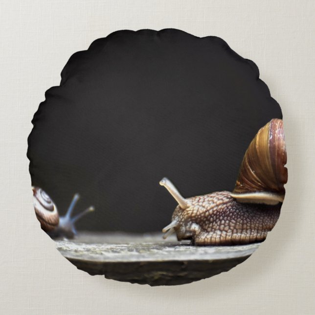 Escargots - slak Mollusk Rond Kussen (Voorkant)