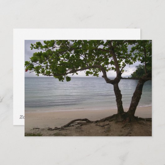 Escondido Beach Briefkaart (Voorkant / Achterkant)