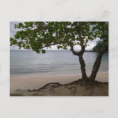 Escondido Beach Briefkaart (Voorkant)