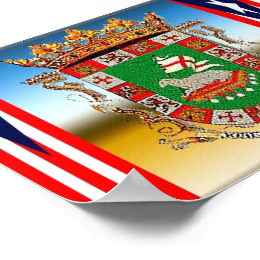 ESCUDO Y BANDERAS POSTER (Hoek)