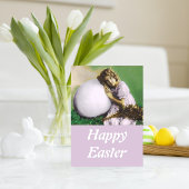  escutie feestdagenkaart