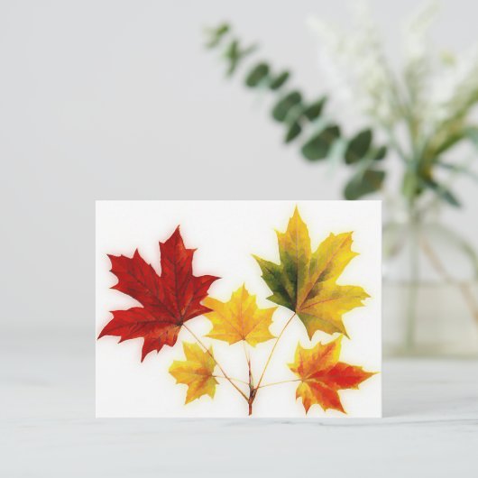  esdoorbladeren briefkaart (Staand voorkant)