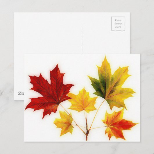  esdoorbladeren briefkaart (Voorkant / Achterkant)