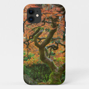 Esdoorn bij de Japanse Tuinen in de herfst iPhone 11 Hoesje