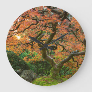 Esdoorn bij de Japanse Tuinen in de herfst Grote Klok