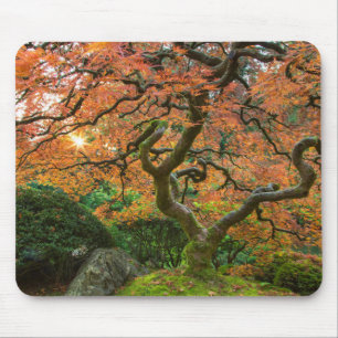 Esdoorn bij de Japanse Tuinen in de herfst Muismat