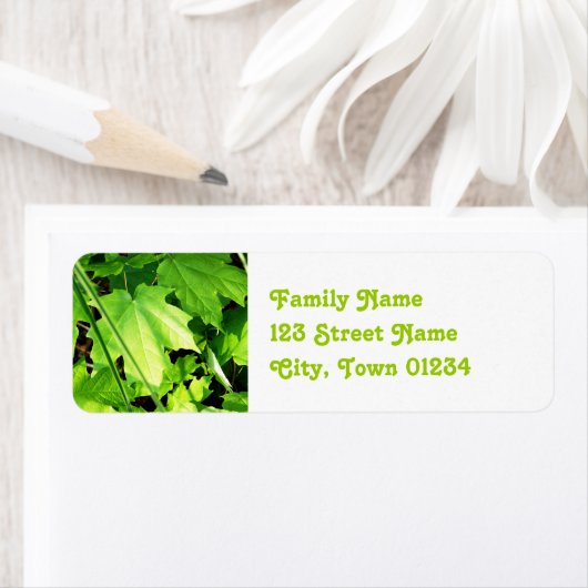 Esdoorn Etiket (Insitu)