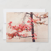 Esdoorn Feestdagenkaart (Voorkant)