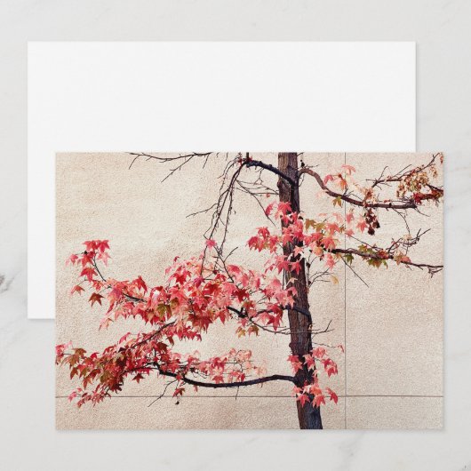 Esdoorn Feestdagenkaart (Voorkant / Achterkant)