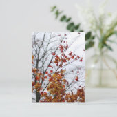 Esdoorn II Briefkaart (Staand voorkant)