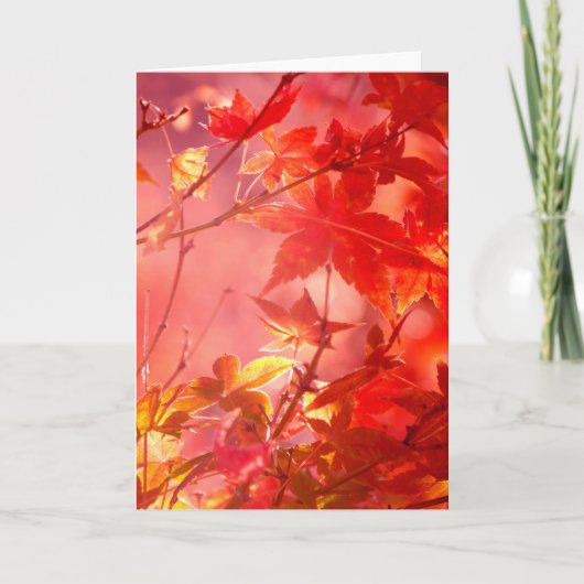 Esdoorn Kaart (Voorkant)