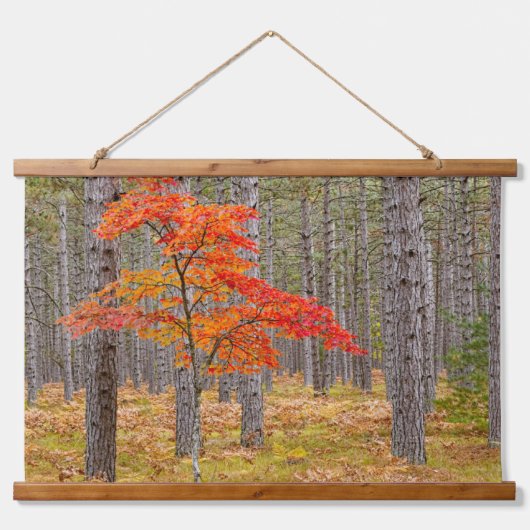 Esdoorn met herfstkleuren hangend wandkleed (Voorkant)