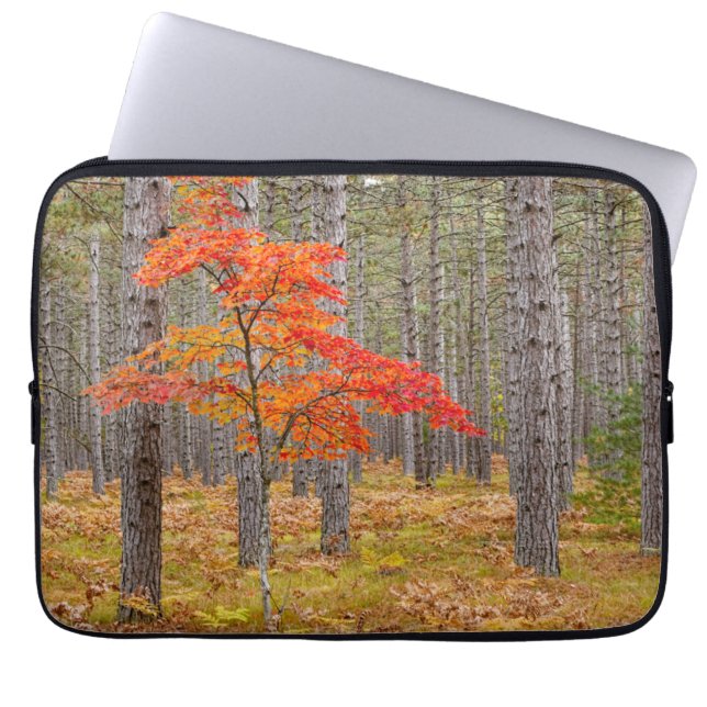 Esdoorn met herfstkleuren laptop sleeve (Voorkant)