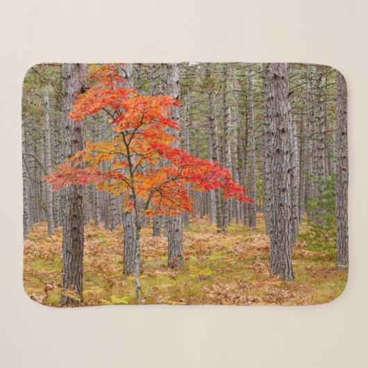 Esdoorn met herfstkleuren sherpa deken (Voorkant (horizontaal))