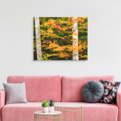 Esdoorn & witte berk | White Mountains, NH Canvas Afdruk (Insitu (Woonkamer))