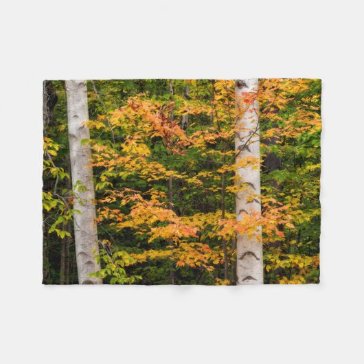 Esdoorn & Witte Berk | White Mountains, NH Fleece Deken (Voorkant (Horizontaal))