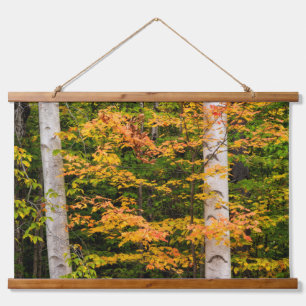 Esdoorn & Witte Berk   White Mountains, NH Hangend Wandkleed