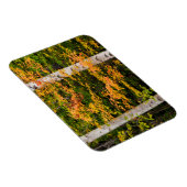 Esdoorn & Witte Berk | White Mountains, NH Magneet (Rechterzijde)