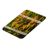Esdoorn & Witte Berk | White Mountains, NH Magneet (Linkerzijde)