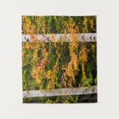 Esdoorn & Witte Berk | White Mountains, NH Wandkleed (Voorkant)