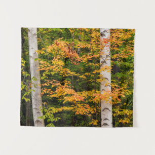 Esdoorn & Witte Berk   White Mountains, NH Wandkleed