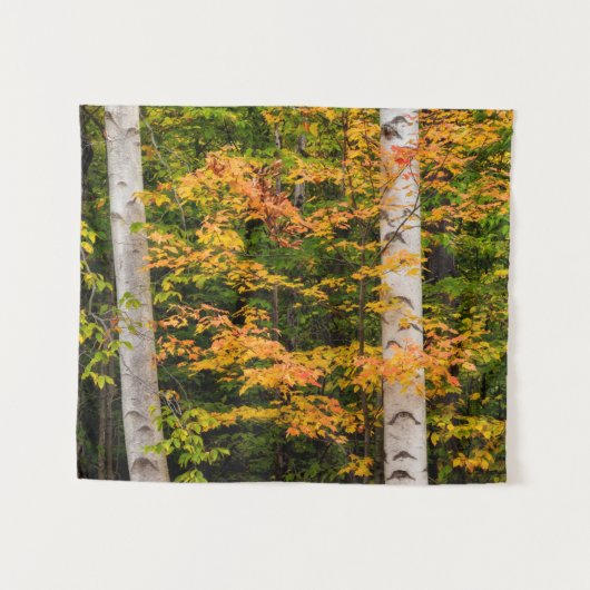 Esdoorn & Witte Berk | White Mountains, NH Wandkleed (Voorkant (horizontaal))