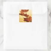 Esdoornblad sticker (Tas)
