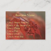 Esdoornblad, Visitekaartje (Achterkant)