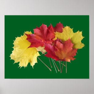 Esdoornbladeren Poster