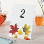 esdoornbladeren reclamebord met voetstuk (Insitu)