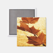 esdoornbladmagneet magneet (Voorkant / Achterkant)