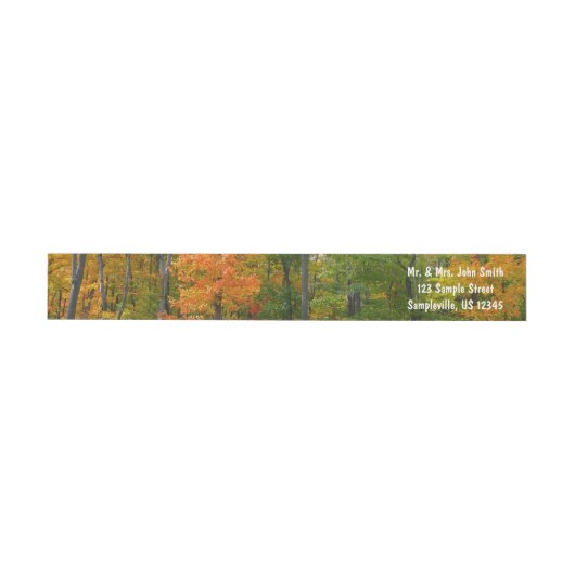 Esdoornbomen in de herfst Natuurfotografie (Individueel)