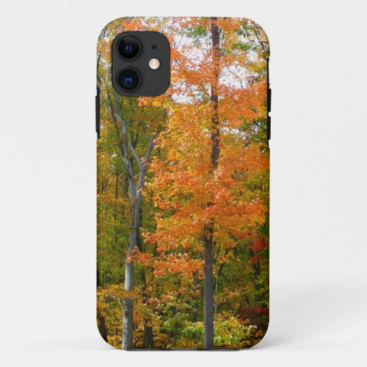 Esdoornbomen in de herfst Natuurfotografie Case-Mate iPhone Case (Achterkant)