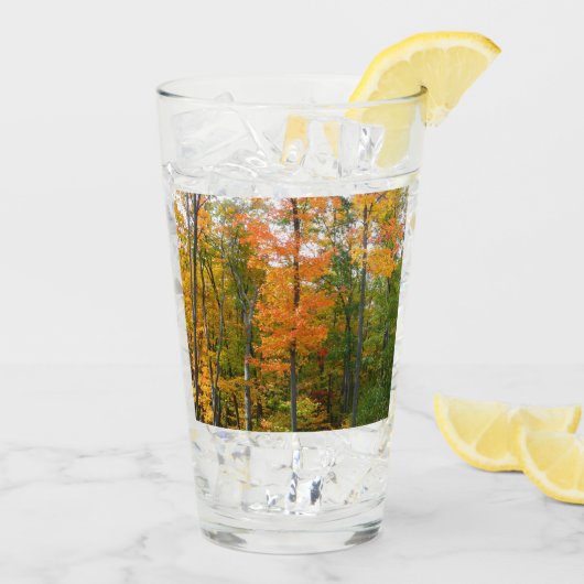 Esdoornbomen in de herfst Natuurfotografie Glas (Achterkant ijs)