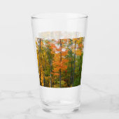 Esdoornbomen in de herfst Natuurfotografie Glas (Voorkant)